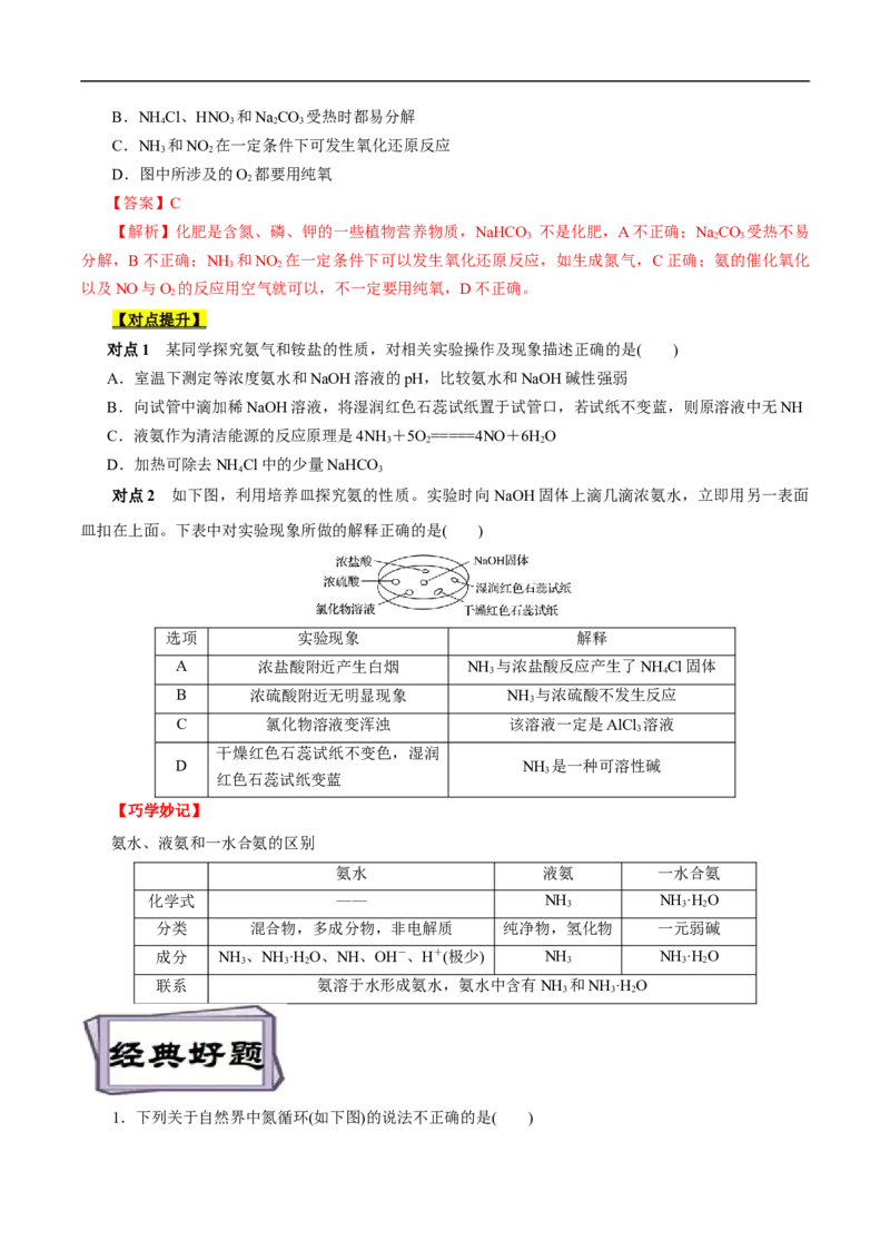 考点11氮及其化合物（原卷版）_05高考化学_通用版（老高考）复习资料_2023年复习资料_一轮复习_备战2023年高考化学一轮复习考点帮（全国通用）