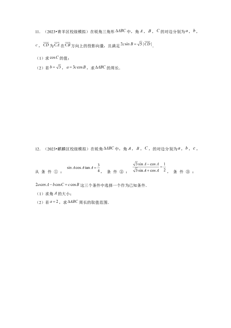 重难点突破03解三角形大题专项训练（解析版）（原卷版）_2.2025数学总复习_2024年新高考资料_3.2024专项复习_第五章平面向量与复数