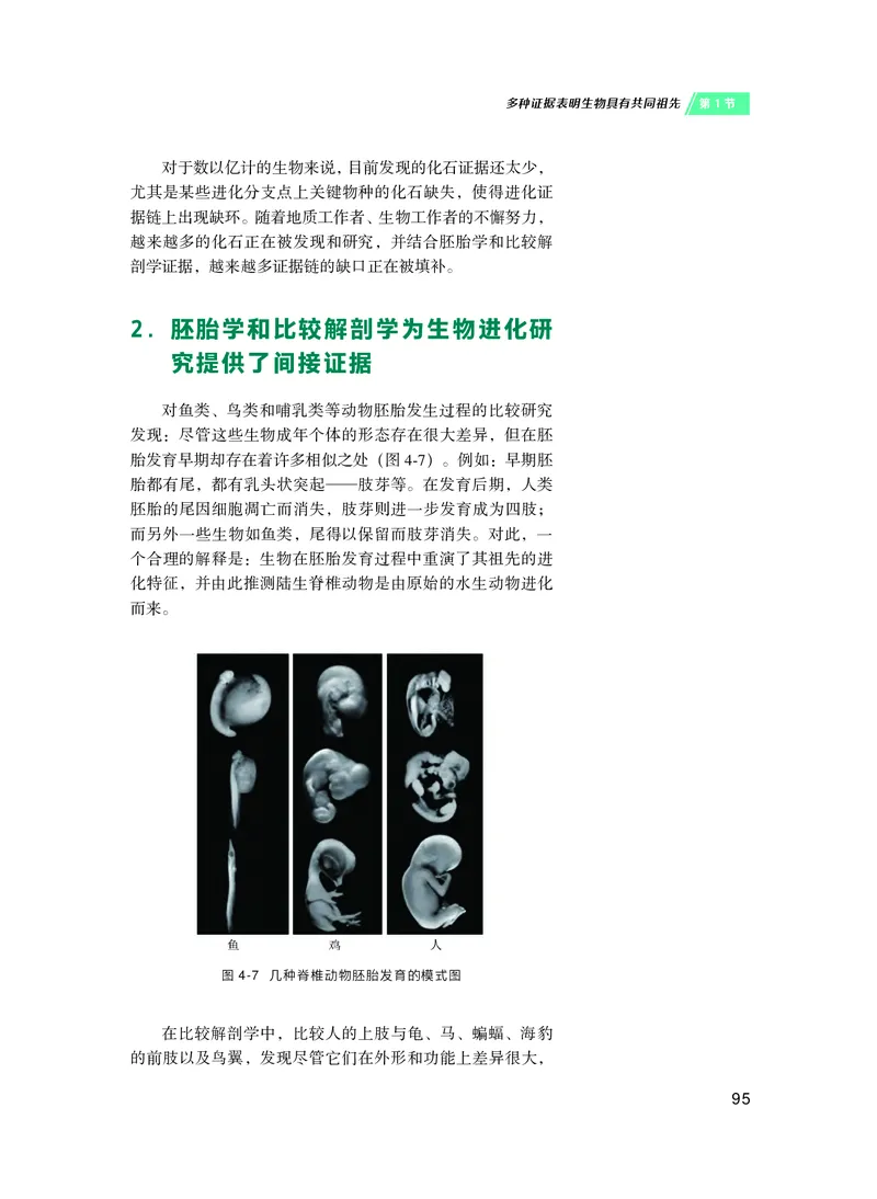 普通高中教科书&middot;生物学必修2遗传与进化(1)_高中全套电子教材及答案。_01高中电子教材全套_生物学_沪科技版_高中年级_必修2遗传与进化