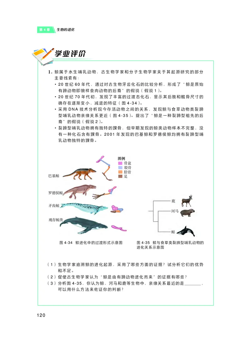 普通高中教科书&middot;生物学必修2遗传与进化(1)_高中全套电子教材及答案。_01高中电子教材全套_生物学_沪科技版_高中年级_必修2遗传与进化