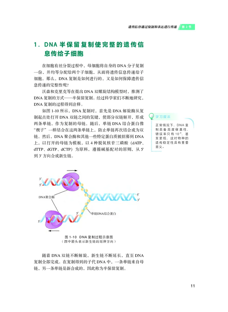 普通高中教科书&middot;生物学必修2遗传与进化(1)_高中全套电子教材及答案。_01高中电子教材全套_生物学_沪科技版_高中年级_必修2遗传与进化