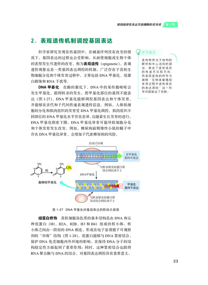 普通高中教科书&middot;生物学必修2遗传与进化(1)_高中全套电子教材及答案。_01高中电子教材全套_生物学_沪科技版_高中年级_必修2遗传与进化