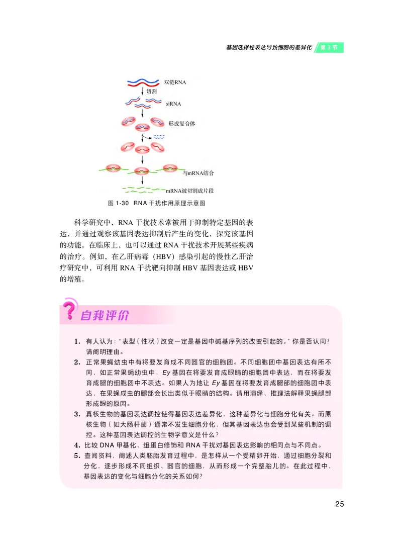 普通高中教科书&middot;生物学必修2遗传与进化(1)_高中全套电子教材及答案。_01高中电子教材全套_生物学_沪科技版_高中年级_必修2遗传与进化