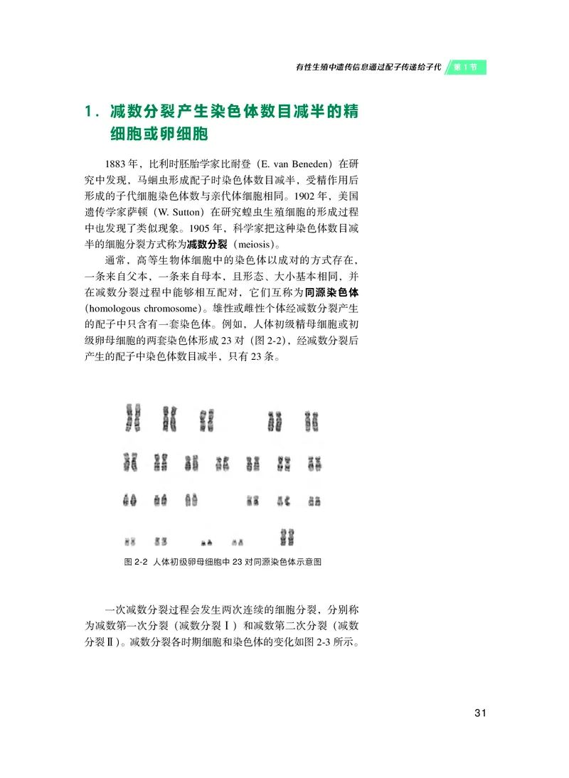 普通高中教科书&middot;生物学必修2遗传与进化(1)_高中全套电子教材及答案。_01高中电子教材全套_生物学_沪科技版_高中年级_必修2遗传与进化