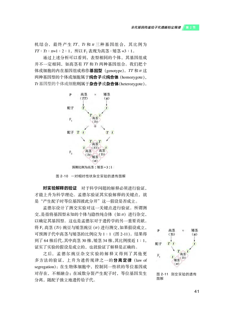 普通高中教科书&middot;生物学必修2遗传与进化(1)_高中全套电子教材及答案。_01高中电子教材全套_生物学_沪科技版_高中年级_必修2遗传与进化