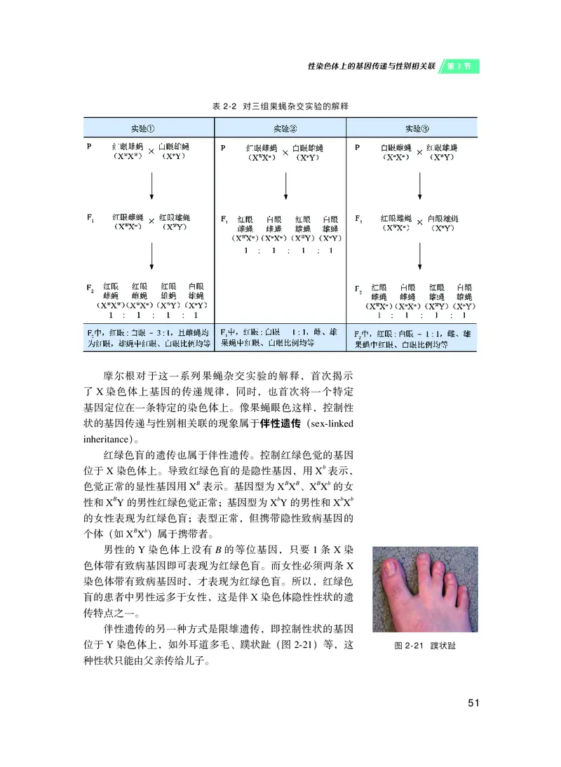 普通高中教科书&middot;生物学必修2遗传与进化(1)_高中全套电子教材及答案。_01高中电子教材全套_生物学_沪科技版_高中年级_必修2遗传与进化