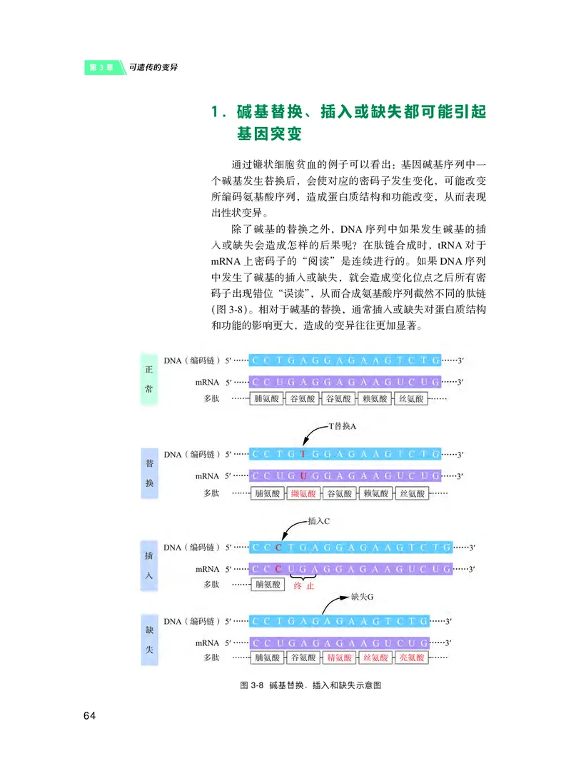 普通高中教科书&middot;生物学必修2遗传与进化(1)_高中全套电子教材及答案。_01高中电子教材全套_生物学_沪科技版_高中年级_必修2遗传与进化