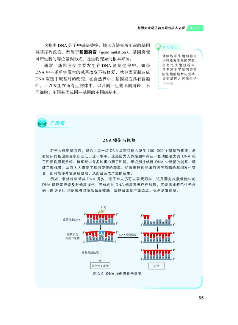 普通高中教科书&middot;生物学必修2遗传与进化(1)_高中全套电子教材及答案。_01高中电子教材全套_生物学_沪科技版_高中年级_必修2遗传与进化
