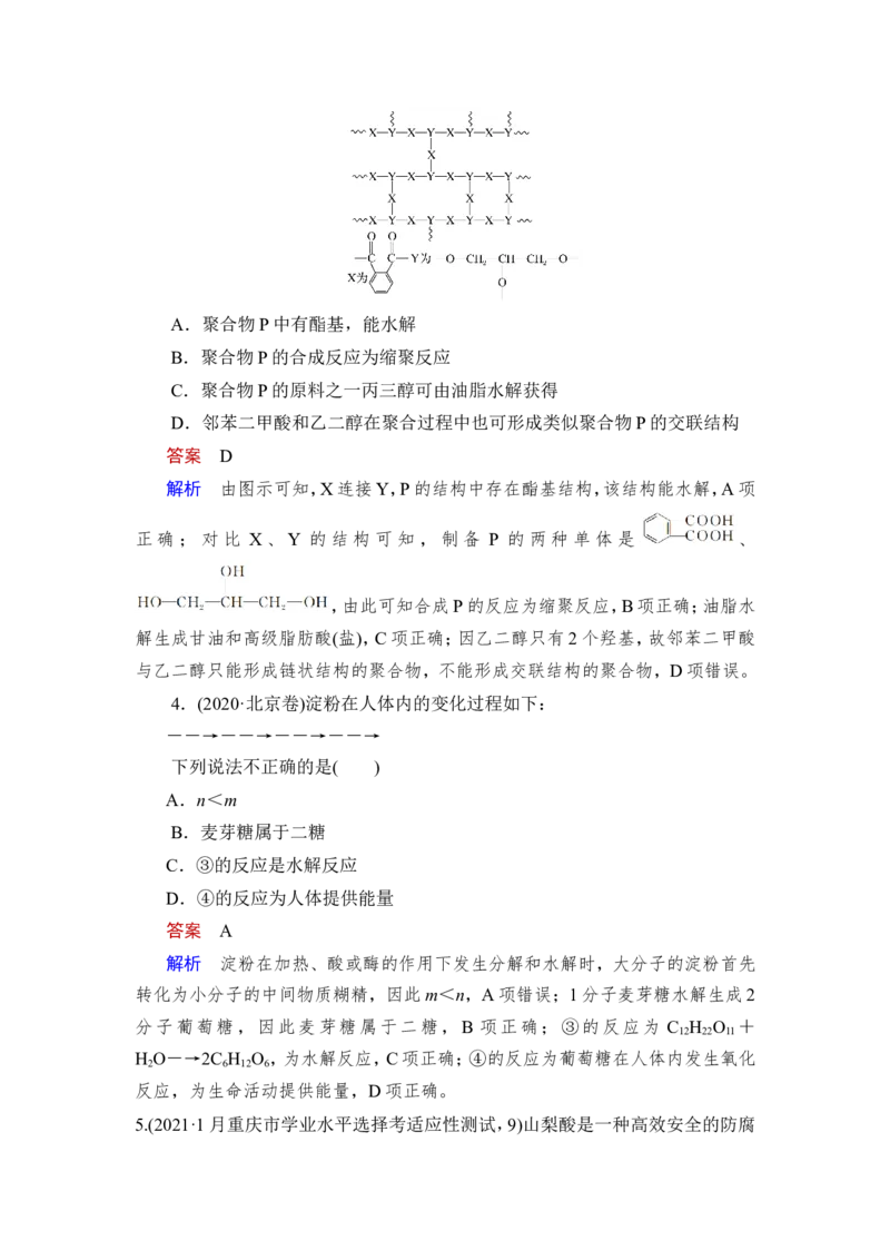 第4讲　生物大分子　合成高分子_05高考化学_新高考复习资料_2023年新高考资料_一轮复习_2023年新高考大一轮复习讲义_2023年高考化学一轮复习讲义（新高考）_赠补充习题