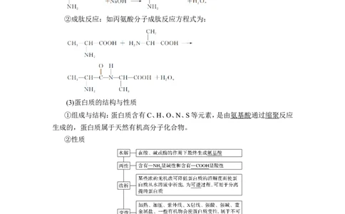 第4讲　生物大分子　合成高分子_05高考化学_新高考复习资料_2023年新高考资料_一轮复习_2023年新高考大一轮复习讲义_2023年高考化学一轮复习讲义（新高考）_赠补充习题