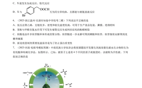第十章有机化学基础（测试）（原卷版）_05高考化学_2024年新高考资料_1.2024一轮复习_2024年高考化学一轮复习讲练测（新教材新高考）