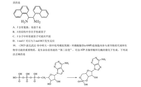 第十章有机化学基础（测试）（原卷版）_05高考化学_2024年新高考资料_1.2024一轮复习_2024年高考化学一轮复习讲练测（新教材新高考）