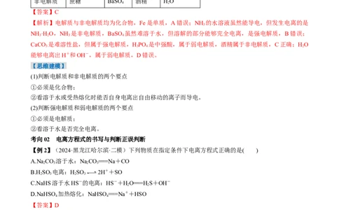 考点02离子反应离子方程式（核心考点精讲精练）-备战2025年高考化学一轮复习考点帮（新高考通用）（解析版）_05高考化学_2025年新高考资料_一轮复习