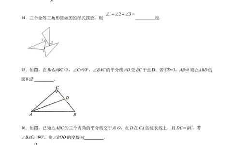第十二章全等三角形章节达标检测(原卷版)_初中数学_八年级数学上册（人教版）_老课标资料_单元测试
