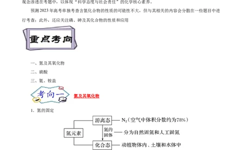 考点11氮及其化合物（解析版）_05高考化学_通用版（老高考）复习资料_2023年复习资料_一轮复习_备战2023年高考化学一轮复习考点帮（全国通用）
