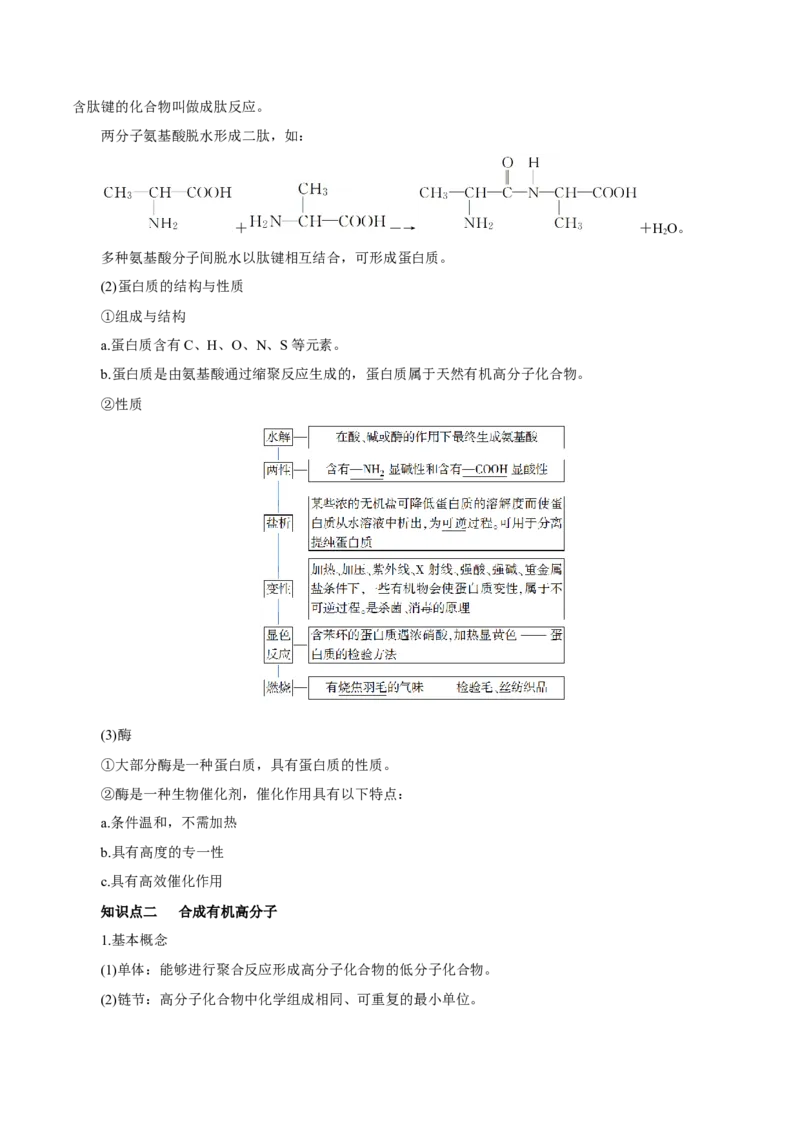 第35讲生物大分子与合成高分子（讲）（原卷版）_05高考化学_新高考复习资料_2023年新高考资料_一轮复习_2023年高考化学一轮复习讲练测（新教材新高考）