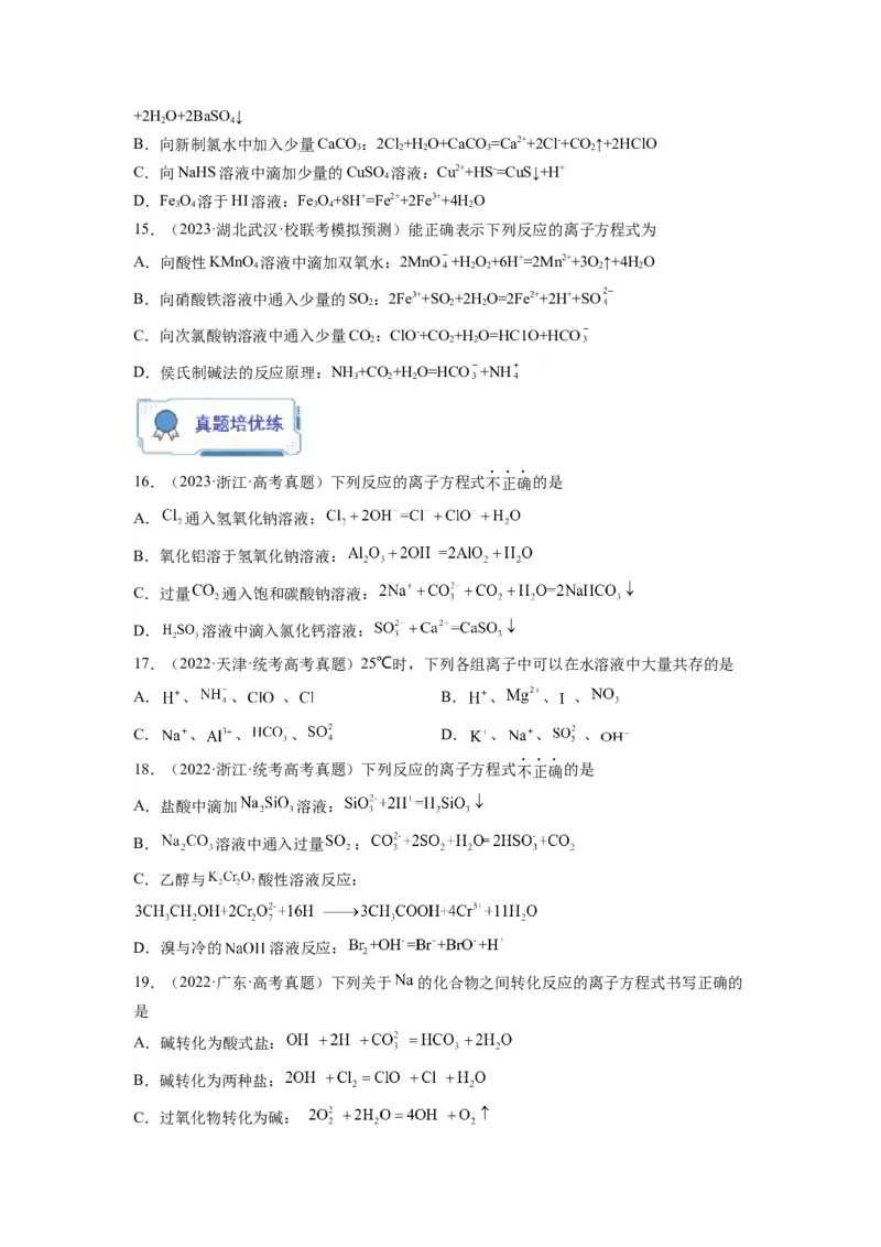 第04练离子共存　离子方程式的正误判断（原卷版）_05高考化学_2024年新高考资料_2.2024二轮复习_2023年暑假分层作业高二化学（2024届一轮复习通用）