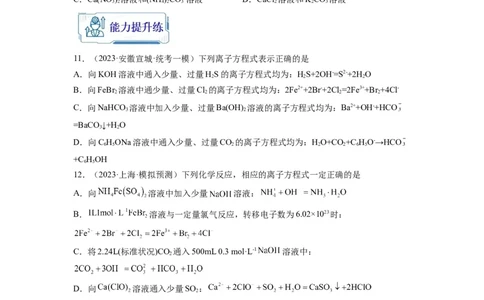 第04练离子共存　离子方程式的正误判断（原卷版）_05高考化学_2024年新高考资料_2.2024二轮复习_2023年暑假分层作业高二化学（2024届一轮复习通用）