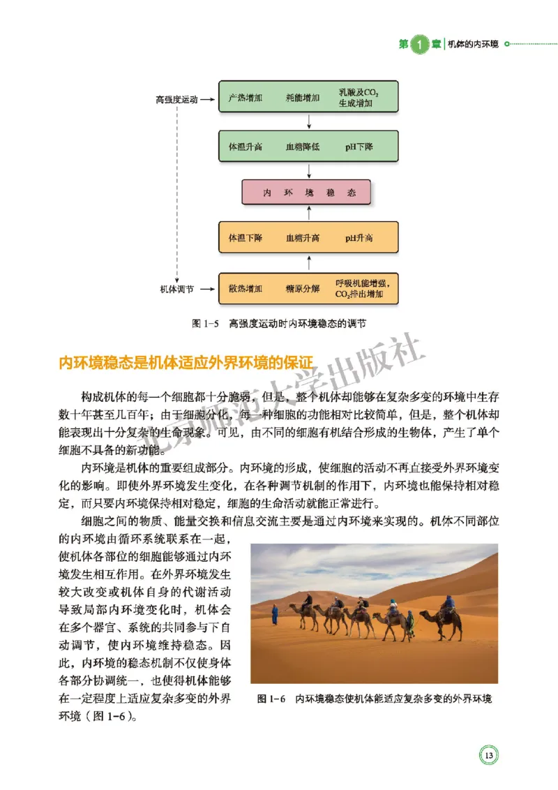 普通高中教科书&middot;生物学选择性必修1稳态与调节(1)_高中全套电子教材及答案。_01高中电子教材全套_生物学_北师大版_高中年级_选择性必修1稳态与调节