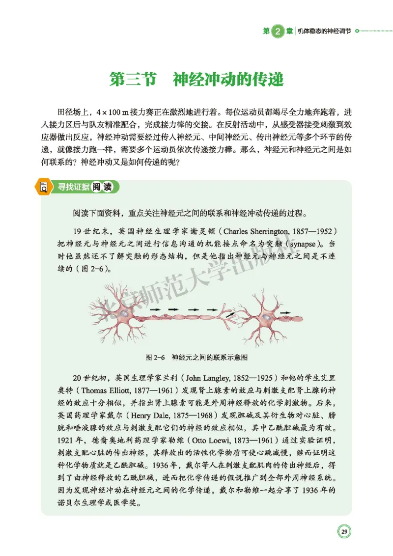 普通高中教科书&middot;生物学选择性必修1稳态与调节(1)_高中全套电子教材及答案。_01高中电子教材全套_生物学_北师大版_高中年级_选择性必修1稳态与调节