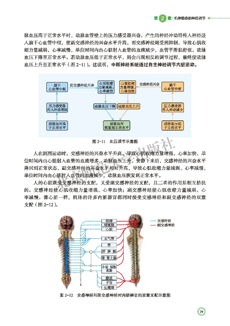 普通高中教科书&middot;生物学选择性必修1稳态与调节(1)_高中全套电子教材及答案。_01高中电子教材全套_生物学_北师大版_高中年级_选择性必修1稳态与调节