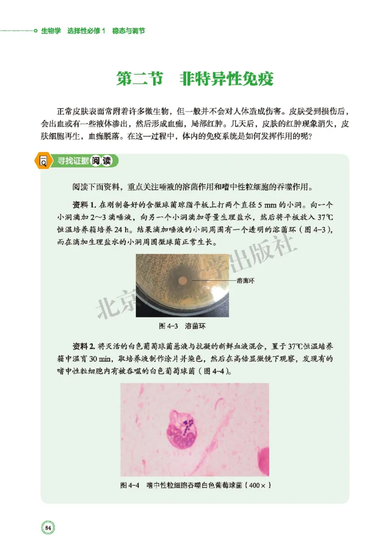 普通高中教科书&middot;生物学选择性必修1稳态与调节(1)_高中全套电子教材及答案。_01高中电子教材全套_生物学_北师大版_高中年级_选择性必修1稳态与调节