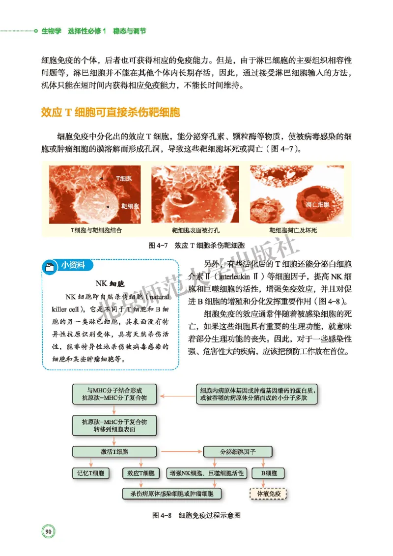 普通高中教科书&middot;生物学选择性必修1稳态与调节(1)_高中全套电子教材及答案。_01高中电子教材全套_生物学_北师大版_高中年级_选择性必修1稳态与调节