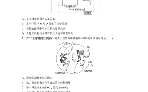 第5章第27讲　氮及其化合物的转化关系_05高考化学_2024年新高考资料_1.2024一轮复习_2024年高考化学一轮复习讲义（新人教新高考版）_学生版在此文件夹_大一轮复习讲义