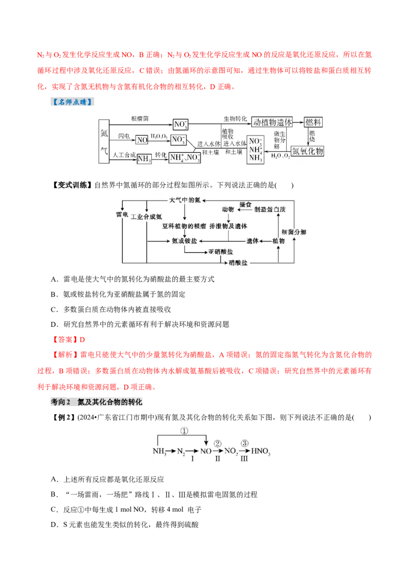 第03讲氮及其重要化合物(讲义)(解析版)_05高考化学_2025年新高考资料_一轮复习_2025年高考化学一轮复习讲练测（新教材新高考）_第四章非金属及其化合物