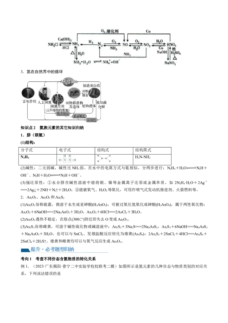 第14讲氮及其化合物（讲义）（原卷版）_05高考化学_2024年新高考资料_1.2024一轮复习_2024年高考化学一轮复习讲练测（新教材新高考）