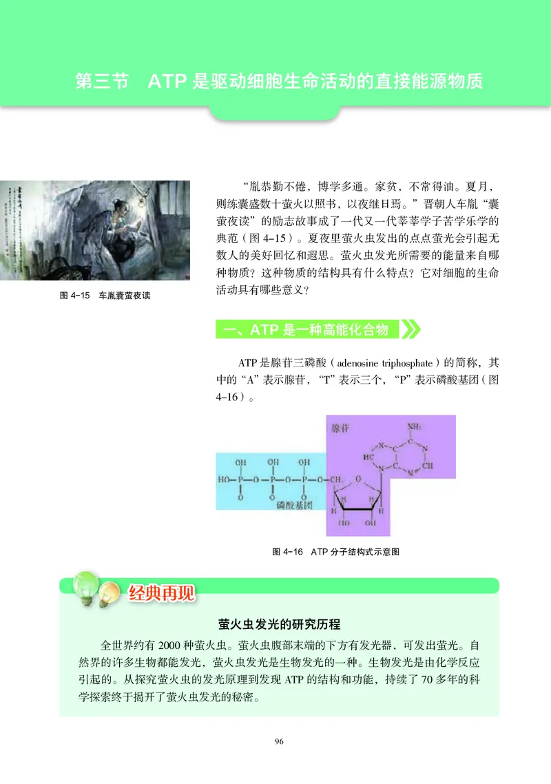 普通高中教科书&middot;生物学必修1分子与细胞(1)_高中全套电子教材及答案。_01高中电子教材全套_生物学_沪科教版_高中年级_必修1分子与细胞