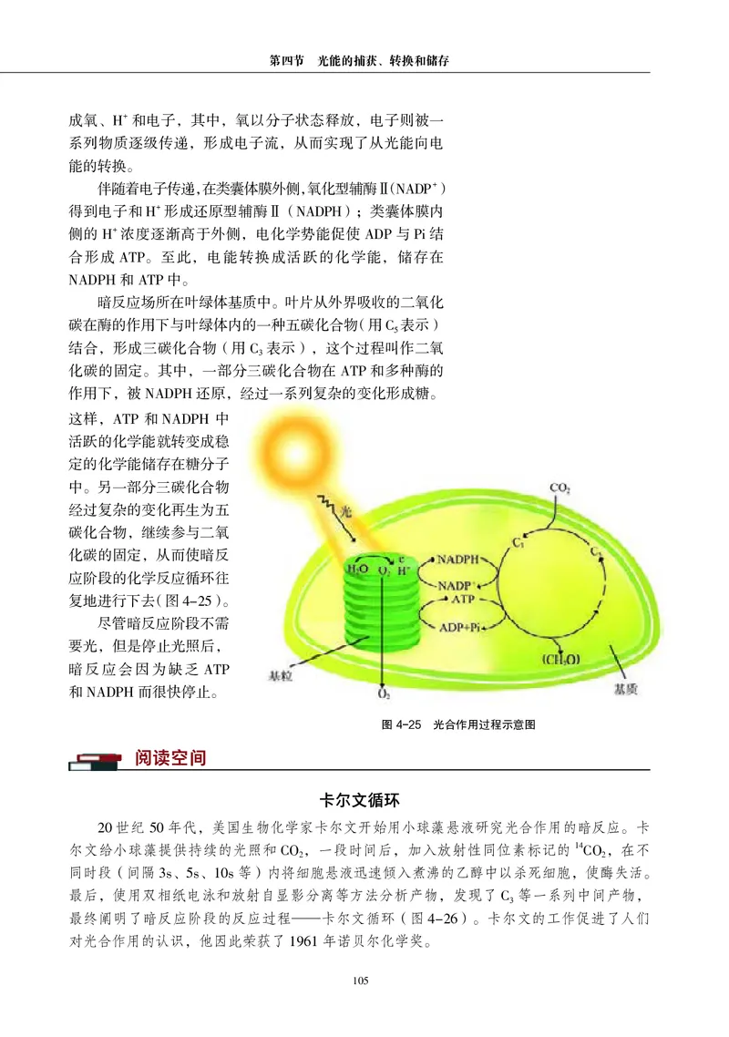 普通高中教科书&middot;生物学必修1分子与细胞(1)_高中全套电子教材及答案。_01高中电子教材全套_生物学_沪科教版_高中年级_必修1分子与细胞