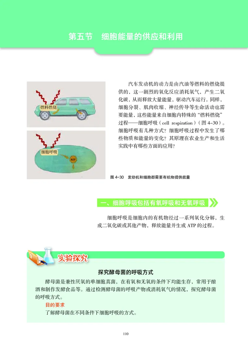 普通高中教科书&middot;生物学必修1分子与细胞(1)_高中全套电子教材及答案。_01高中电子教材全套_生物学_沪科教版_高中年级_必修1分子与细胞