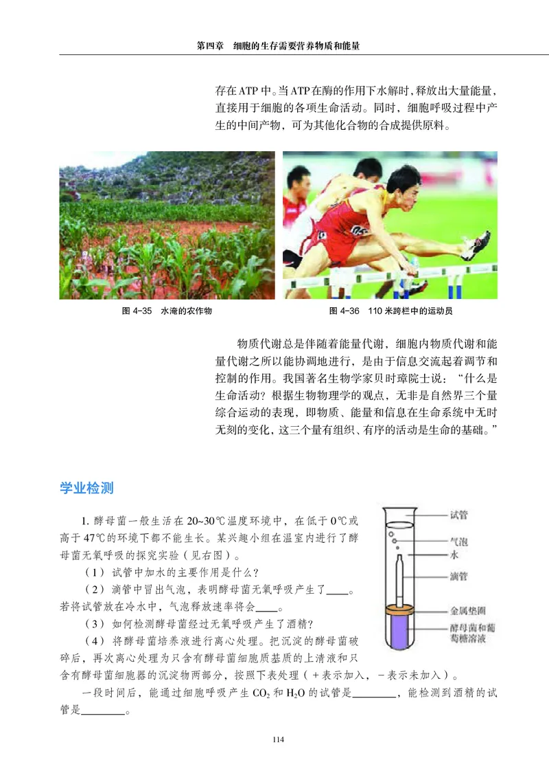 普通高中教科书&middot;生物学必修1分子与细胞(1)_高中全套电子教材及答案。_01高中电子教材全套_生物学_沪科教版_高中年级_必修1分子与细胞