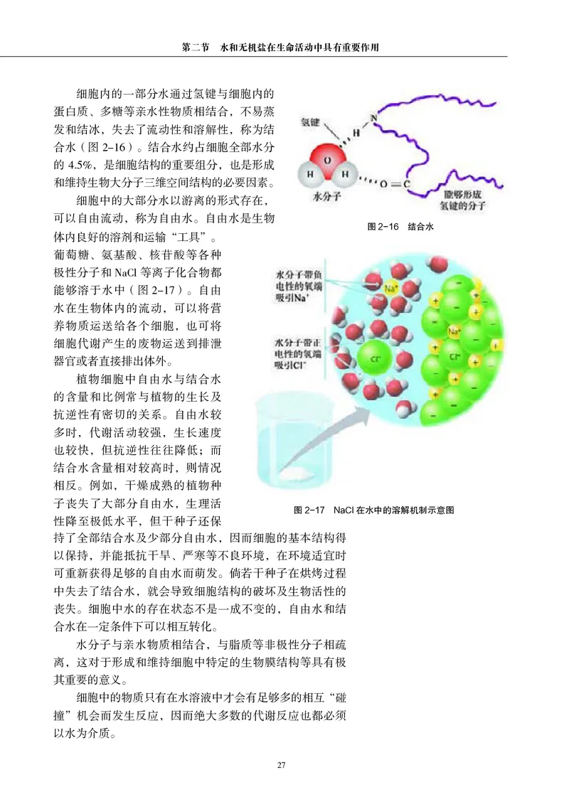 普通高中教科书&middot;生物学必修1分子与细胞(1)_高中全套电子教材及答案。_01高中电子教材全套_生物学_沪科教版_高中年级_必修1分子与细胞