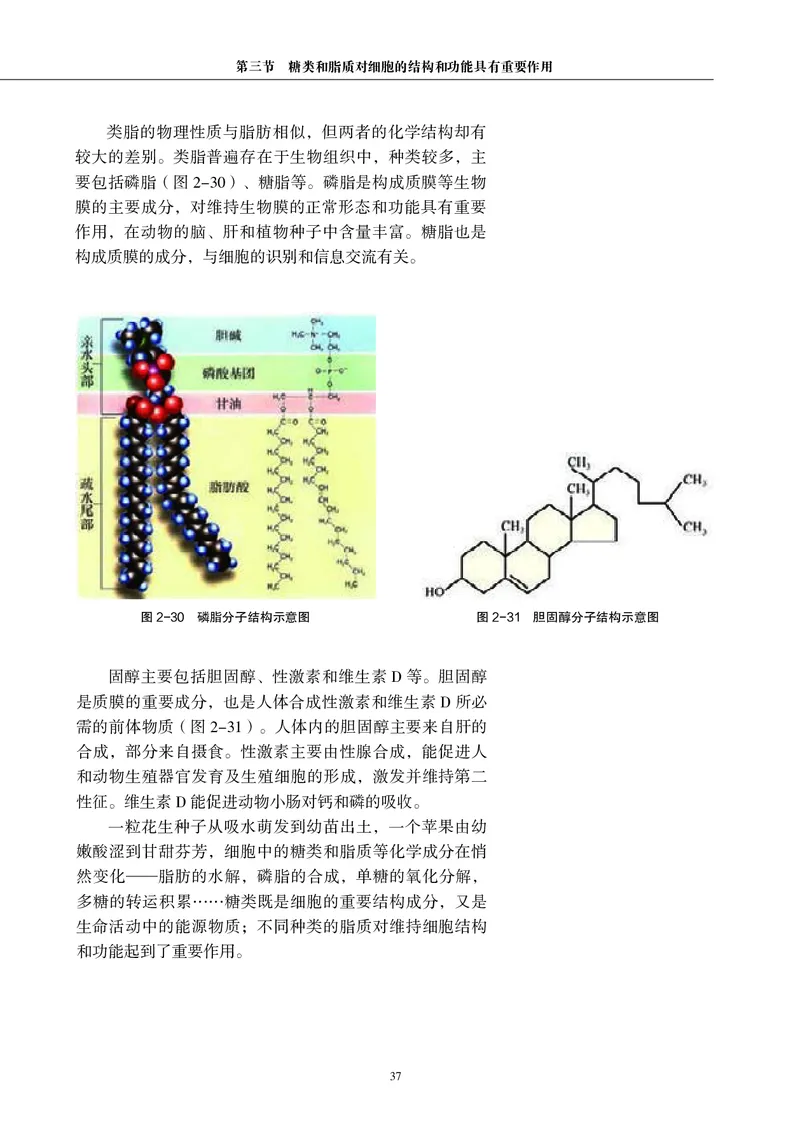 普通高中教科书&middot;生物学必修1分子与细胞(1)_高中全套电子教材及答案。_01高中电子教材全套_生物学_沪科教版_高中年级_必修1分子与细胞