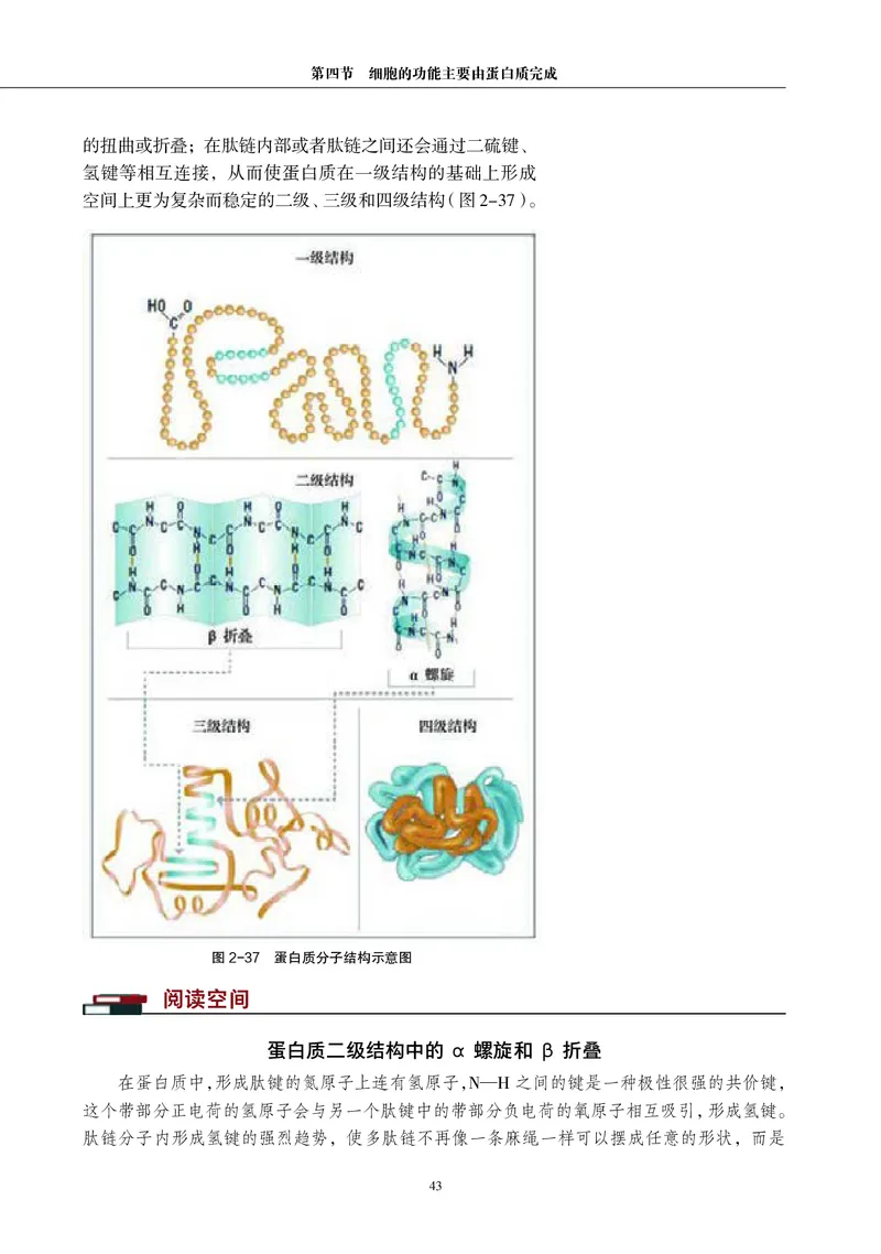 普通高中教科书&middot;生物学必修1分子与细胞(1)_高中全套电子教材及答案。_01高中电子教材全套_生物学_沪科教版_高中年级_必修1分子与细胞