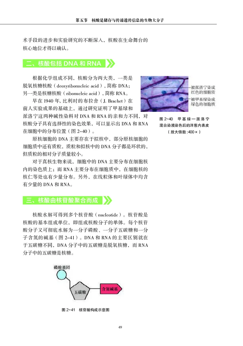 普通高中教科书&middot;生物学必修1分子与细胞(1)_高中全套电子教材及答案。_01高中电子教材全套_生物学_沪科教版_高中年级_必修1分子与细胞