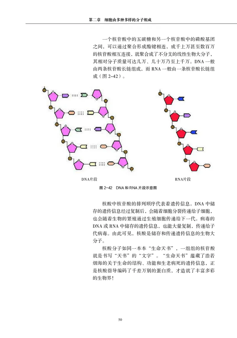 普通高中教科书&middot;生物学必修1分子与细胞(1)_高中全套电子教材及答案。_01高中电子教材全套_生物学_沪科教版_高中年级_必修1分子与细胞