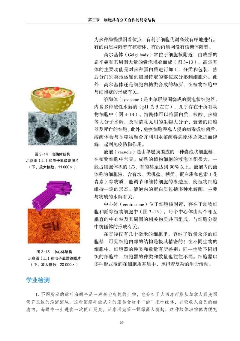 普通高中教科书&middot;生物学必修1分子与细胞(1)_高中全套电子教材及答案。_01高中电子教材全套_生物学_沪科教版_高中年级_必修1分子与细胞