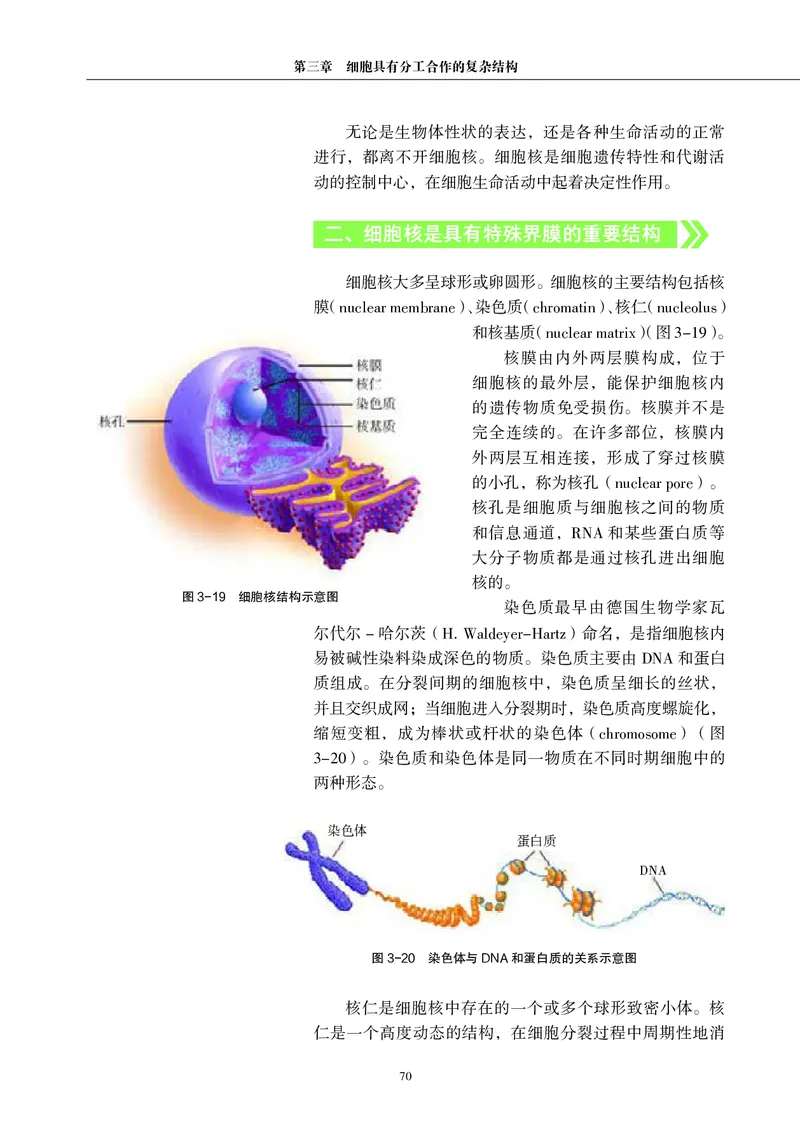 普通高中教科书&middot;生物学必修1分子与细胞(1)_高中全套电子教材及答案。_01高中电子教材全套_生物学_沪科教版_高中年级_必修1分子与细胞