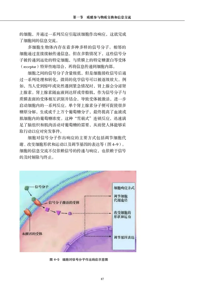 普通高中教科书&middot;生物学必修1分子与细胞(1)_高中全套电子教材及答案。_01高中电子教材全套_生物学_沪科教版_高中年级_必修1分子与细胞