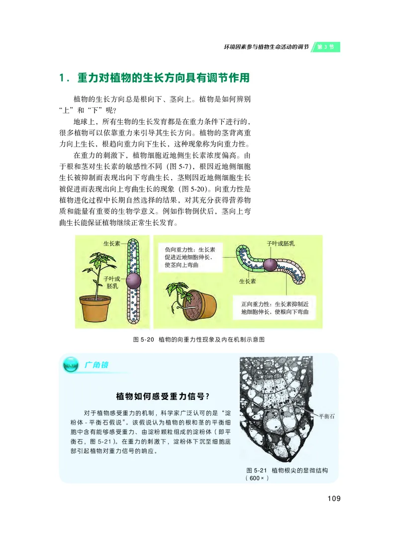 普通高中教科书&middot;生物学选择性必修1稳态与调节(1)_高中全套电子教材及答案。_01高中电子教材全套_生物学_沪科技版_高中年级_选择性必修1稳态与调节