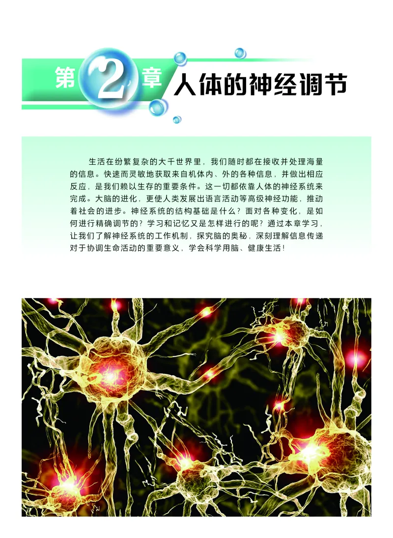 普通高中教科书&middot;生物学选择性必修1稳态与调节(1)_高中全套电子教材及答案。_01高中电子教材全套_生物学_沪科技版_高中年级_选择性必修1稳态与调节