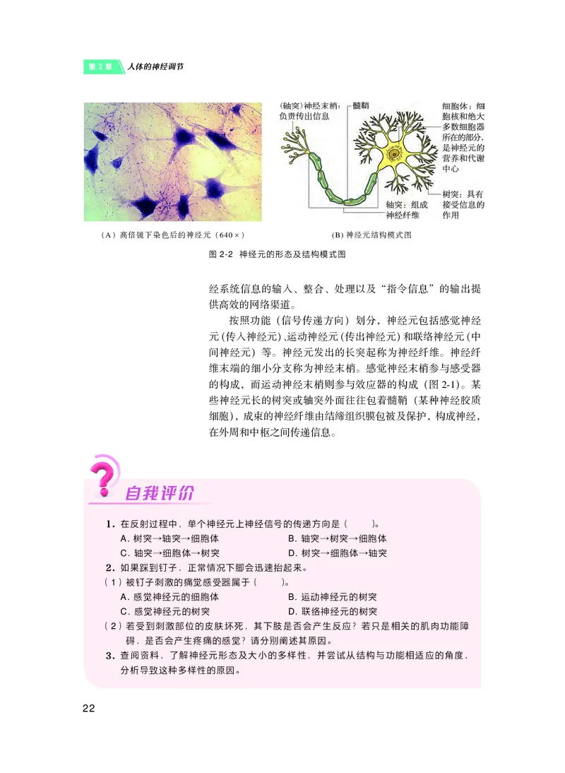 普通高中教科书&middot;生物学选择性必修1稳态与调节(1)_高中全套电子教材及答案。_01高中电子教材全套_生物学_沪科技版_高中年级_选择性必修1稳态与调节