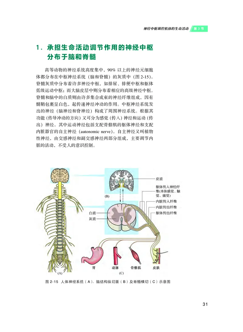 普通高中教科书&middot;生物学选择性必修1稳态与调节(1)_高中全套电子教材及答案。_01高中电子教材全套_生物学_沪科技版_高中年级_选择性必修1稳态与调节