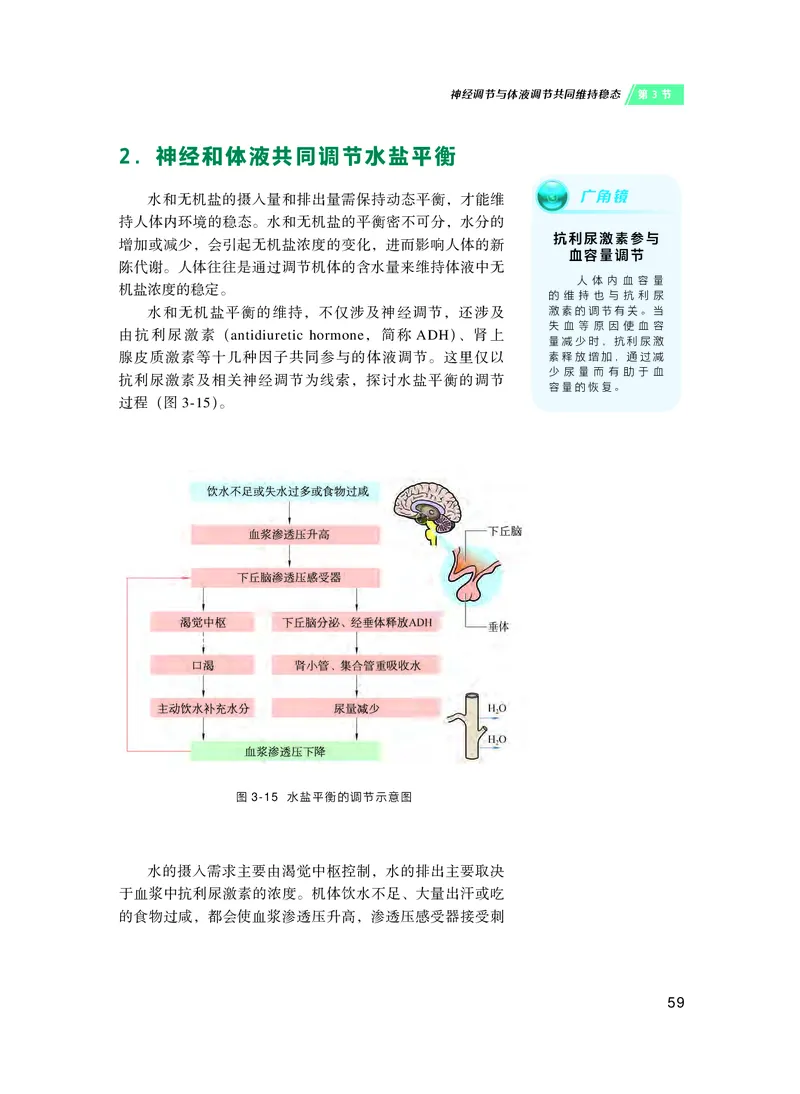 普通高中教科书&middot;生物学选择性必修1稳态与调节(1)_高中全套电子教材及答案。_01高中电子教材全套_生物学_沪科技版_高中年级_选择性必修1稳态与调节