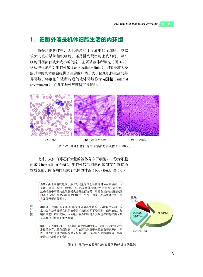 普通高中教科书&middot;生物学选择性必修1稳态与调节(1)_高中全套电子教材及答案。_01高中电子教材全套_生物学_沪科技版_高中年级_选择性必修1稳态与调节