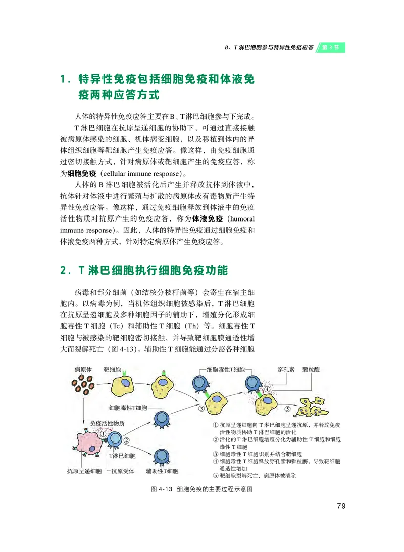 普通高中教科书&middot;生物学选择性必修1稳态与调节(1)_高中全套电子教材及答案。_01高中电子教材全套_生物学_沪科技版_高中年级_选择性必修1稳态与调节
