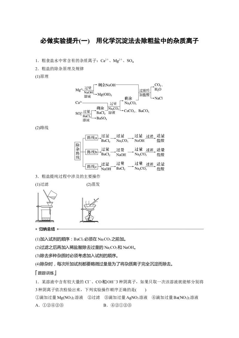 第1章第3讲　必做实验提升(一)　用化学沉淀法去除粗盐中的杂质离子---2023年高考化学一轮复习（新高考）_05高考化学_新高考复习资料_2023年新高考资料_一轮复习